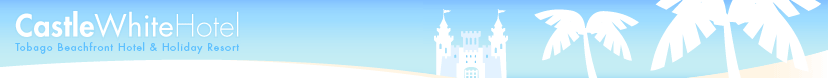 castle white hotel masthead
